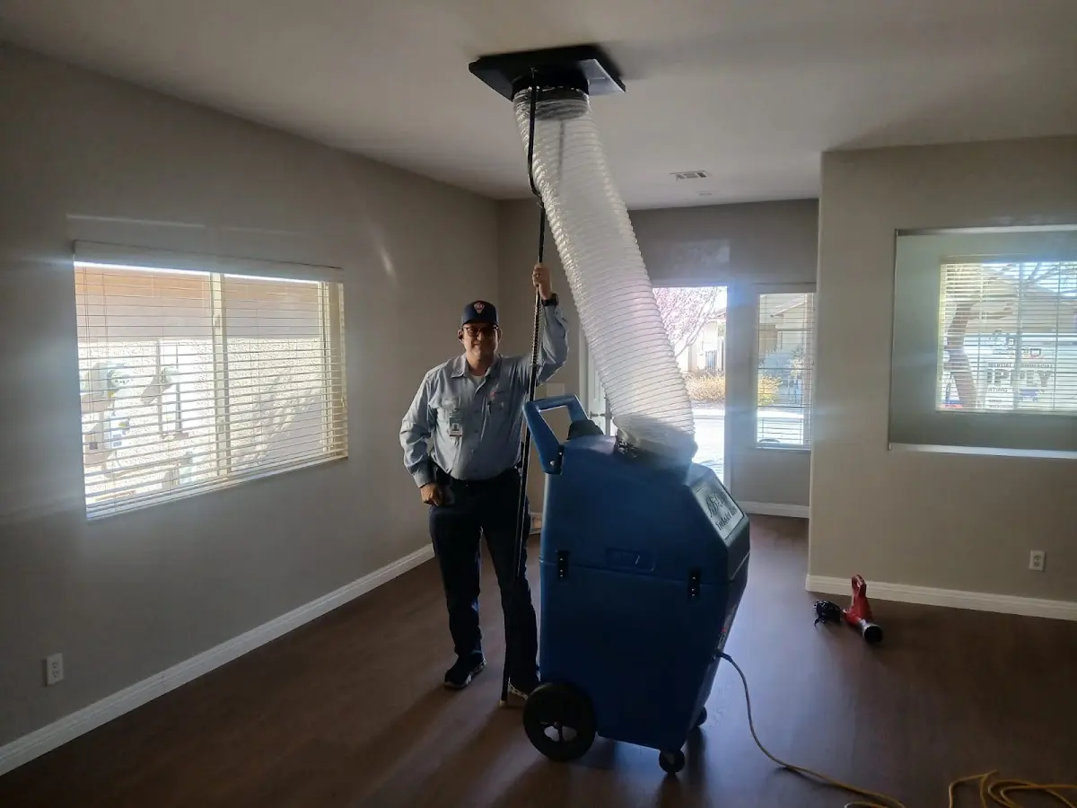 Professional Dryer Vent Cleaning work inside a Clive home